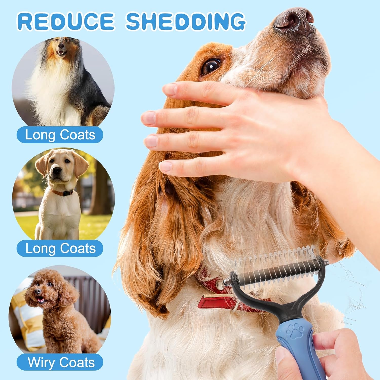 Pet Grooming Brush and Metal Comb Set