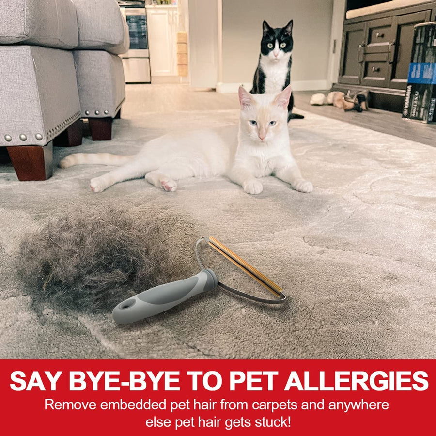 Pet Hair Remover Tool