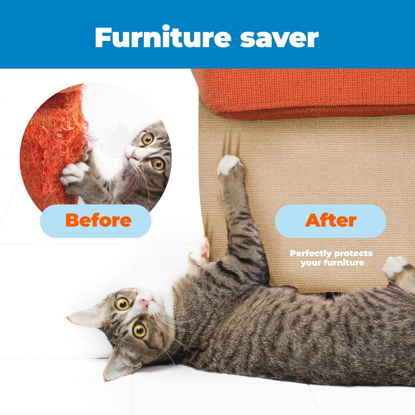 Heavy-Duty Cat Scratcher and Interactive Play Post