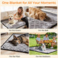 Premium Dog Back Seat Extender for Cars and SUVs