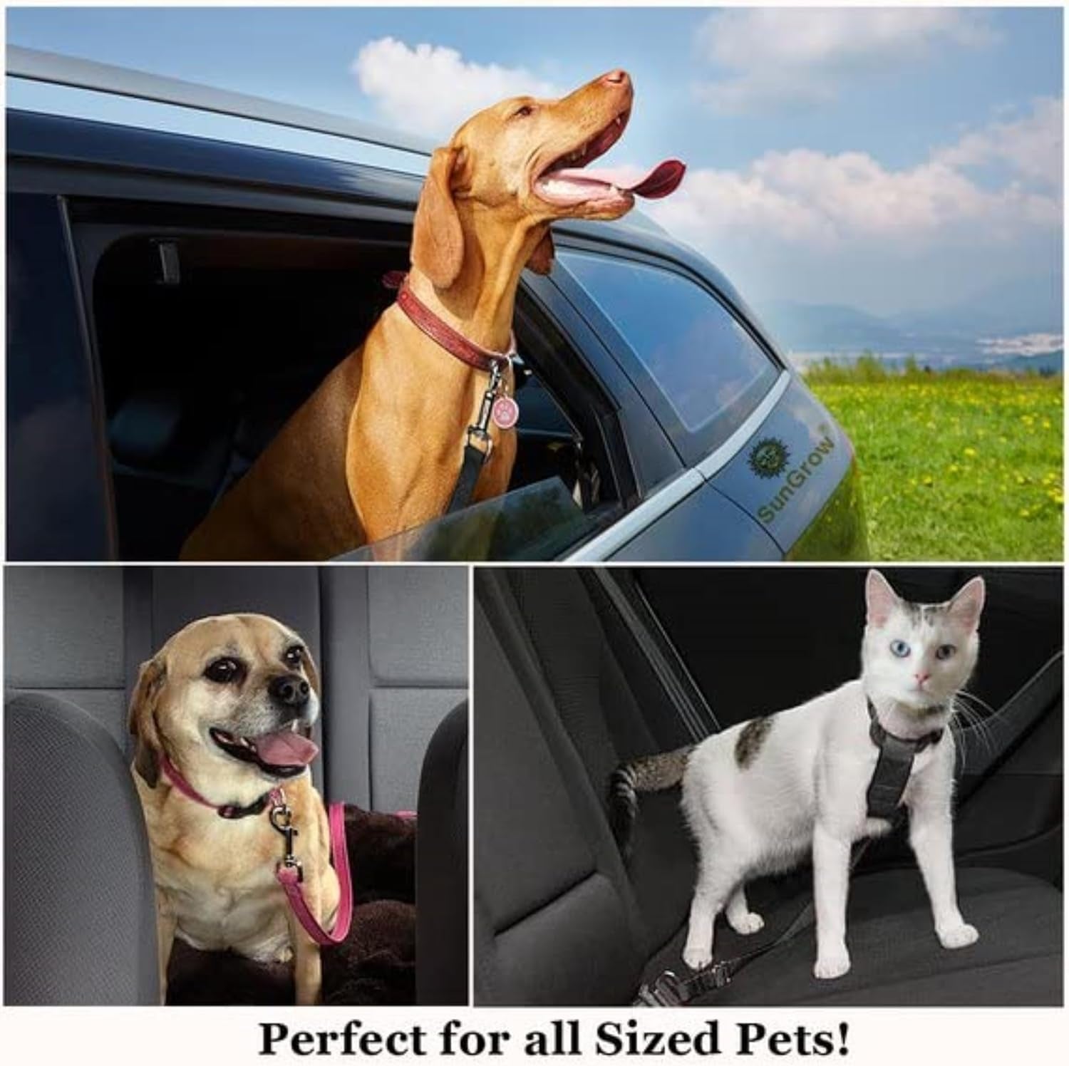 Adjustable Nylon Dog Seat Belt for Car