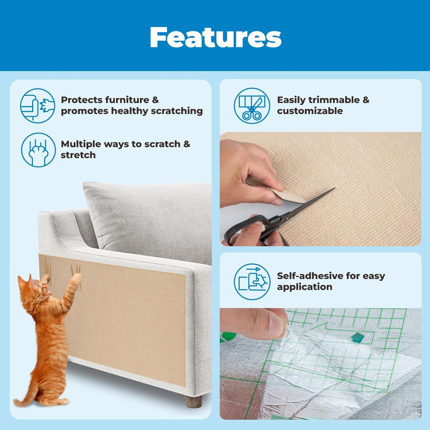 Heavy-Duty Cat Scratcher and Interactive Play Post